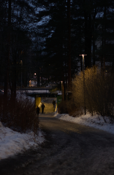 02-03-2026_19-57-20_EF50mm-f1.8-II_f1.8_1-100_ISO800.jpg