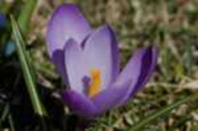 19-04-2026_12-50-35_EF-S55-250mm-f4-5.6-IS_f16.0_1-500_ISO200.jpg